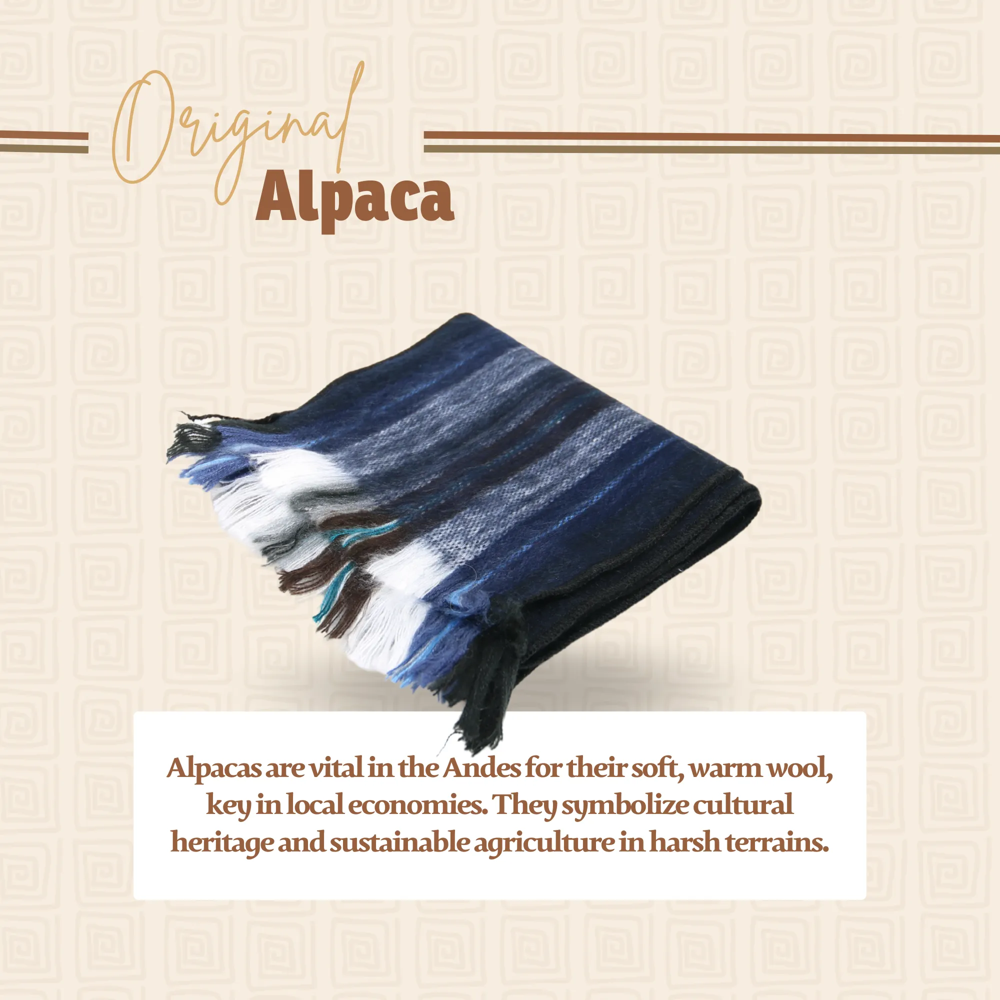Blue and White Alpaca Traditional Scarf