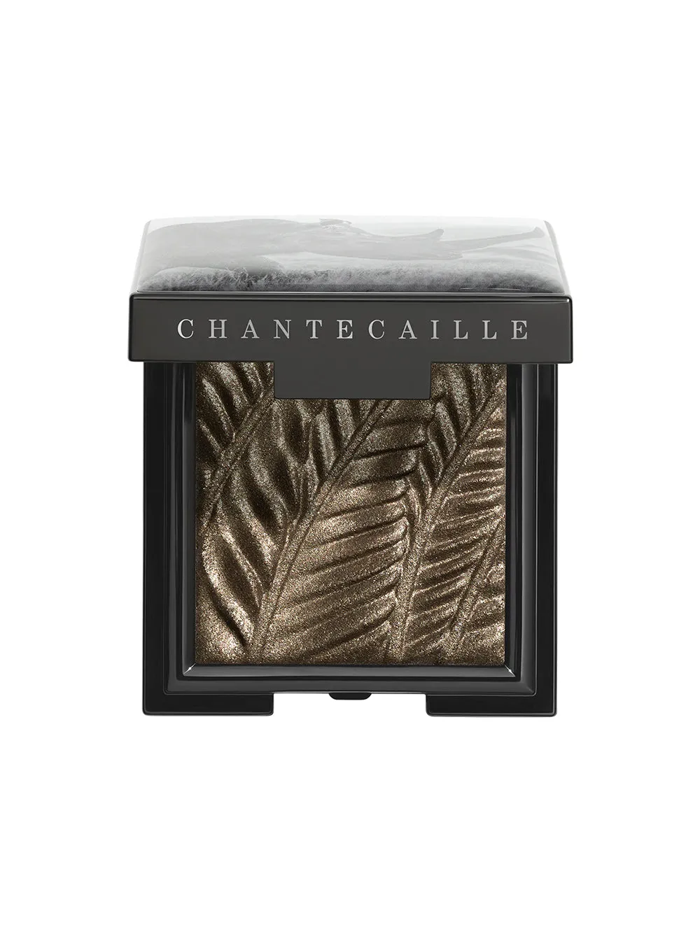 Chantecaille Luminescent Eye Shades (More Colors)