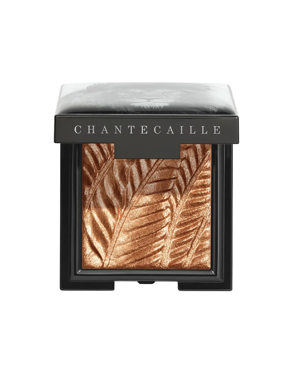 Chantecaille Luminescent Eye Shades (More Colors)