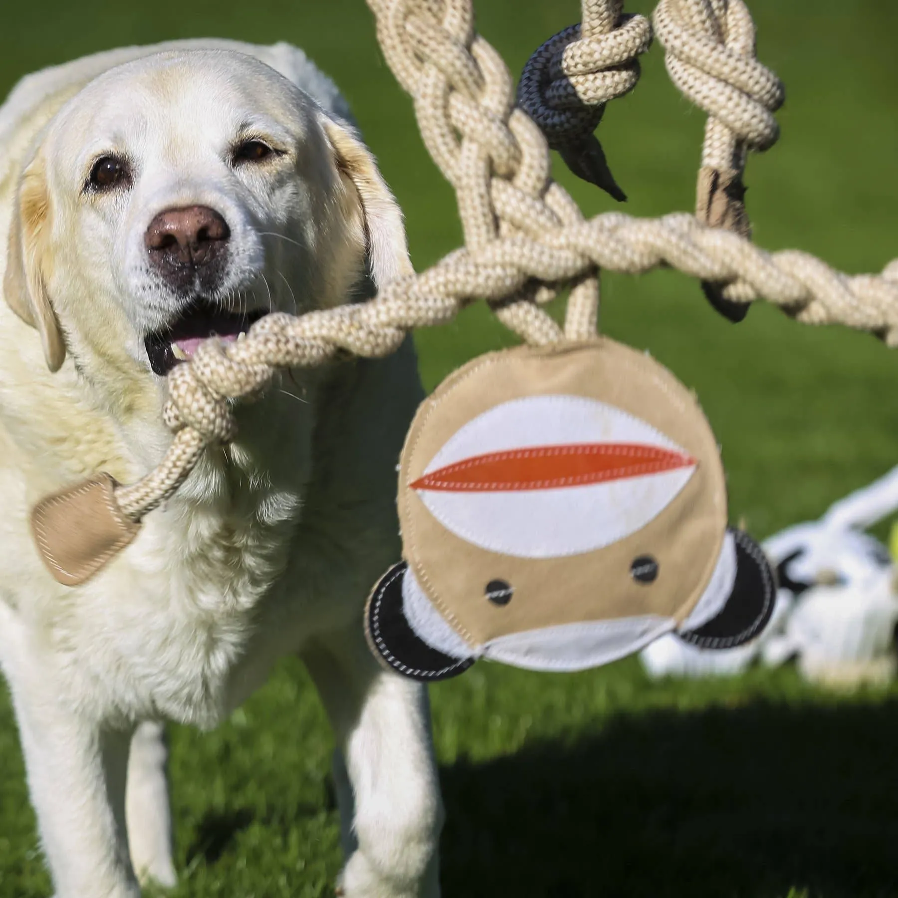 HuggleGroup - Stuey Sock Monkey Natural Rope Knottie®, L (9mm d.) Dog Toy