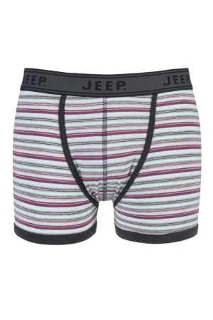 Mens 1 Pair Jeep Spirit Cotton Multi Stripe Trunks In Grey