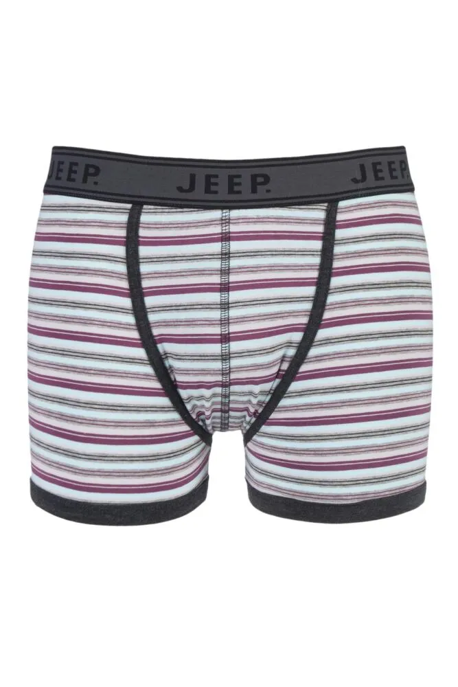 Mens 1 Pair Jeep Spirit Cotton Multi Stripe Trunks In Grey